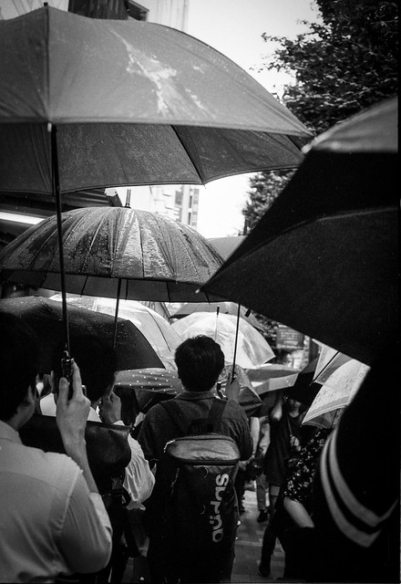 Tokyo Umbrella 1