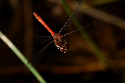 winGed | by walter.innes