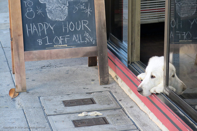 2019_08_21_He Missed Happy Hour_4561