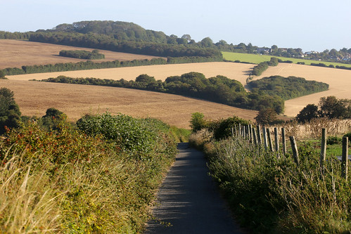 Walk from Kingsdown to home