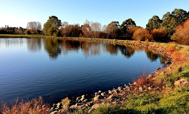 Beautiful Lake Henley .Masterton  . NZ .