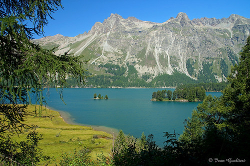 isalnds isole lago lake sils engadina valley valle svizzera switzerland maloja bregaglia