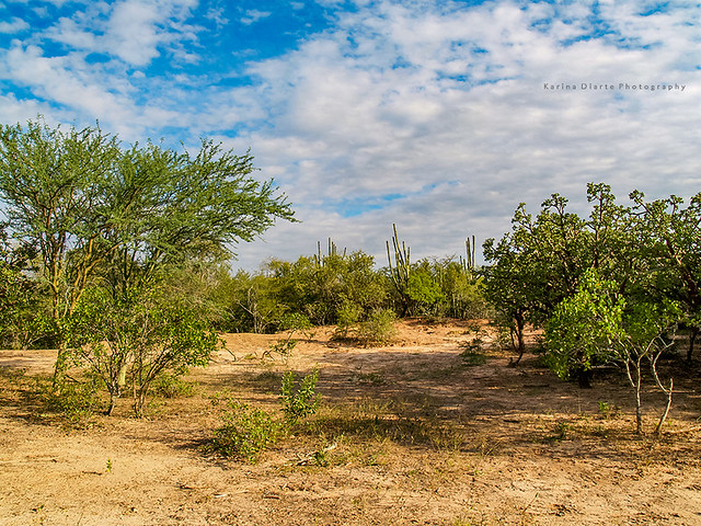 Parque Nacional Teniente Agripino Enciso