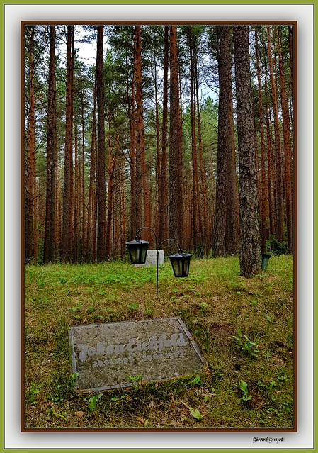 Cimetière de la forêt à Tallinn