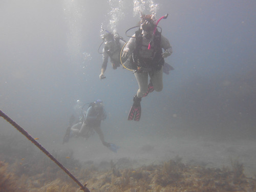 Is Certification Required To Scuba Dive Today | by Sail Fish Scuba