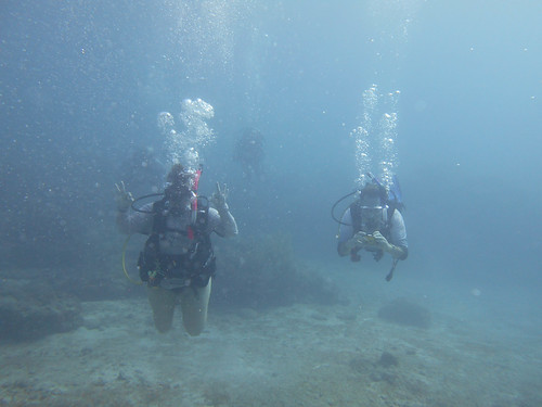 Is Certification Required To Scuba Dive Today | by Sail Fish Scuba