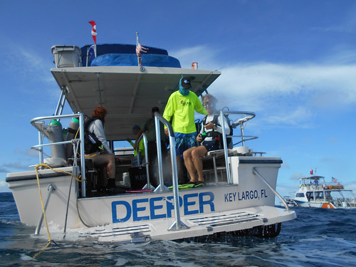 Is Certification Required To Scuba Dive Today | by Sail Fish Scuba