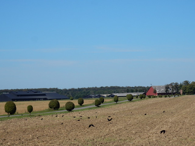 Lolland - boerderij