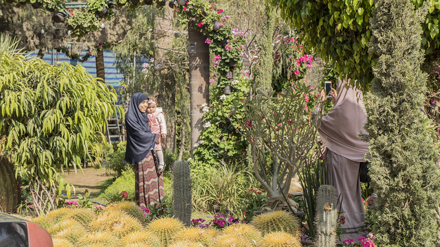 Inside Egypt's Spring Flowers Fair 2019