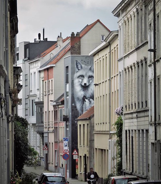 Today it's time for the official party to welcome these #foxes by #Kitsune. . #Gent #streetart #muralpainting #urbanart #graffitiart #streetartbelgium #graffitibelgium #visitgent #muralart #streetartlovers #graffitiart_daily #streetarteverywhere #streetar