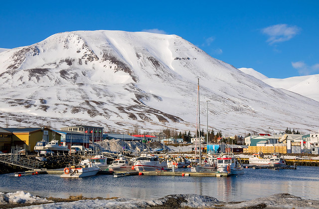 From the town of Dalvík, north of Iceland