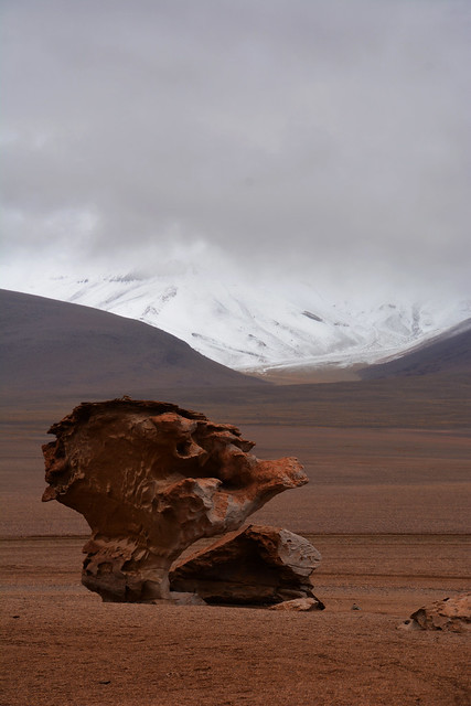 Arbre de pierre Désert de Siloli Bolivie_3708