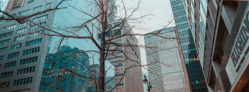 Positive -1730 | by SavasBoyraz