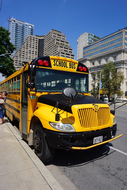 Bus scolaire, Toronto