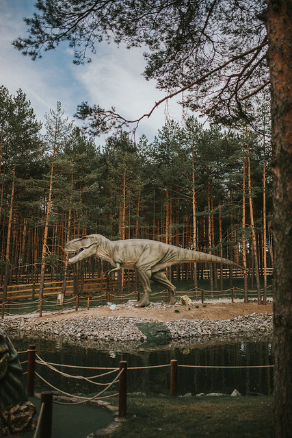 Realistic model of a  Tyrannosaurus rex in a dino park