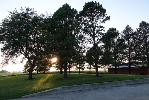 williamsburgiowa motel crestcountryinn williamsburg iowa scenery sunset sunlight trees greens 2019 sonyrx100v