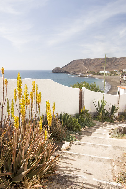 Las Playitas secret road - Fuerteventura