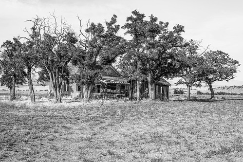 solemn shack landscape blackwhite quiet california summer abandoned barn monochrome trees house home farm scary d850 forgotten serious creepy grenada unitedstatesofamerica