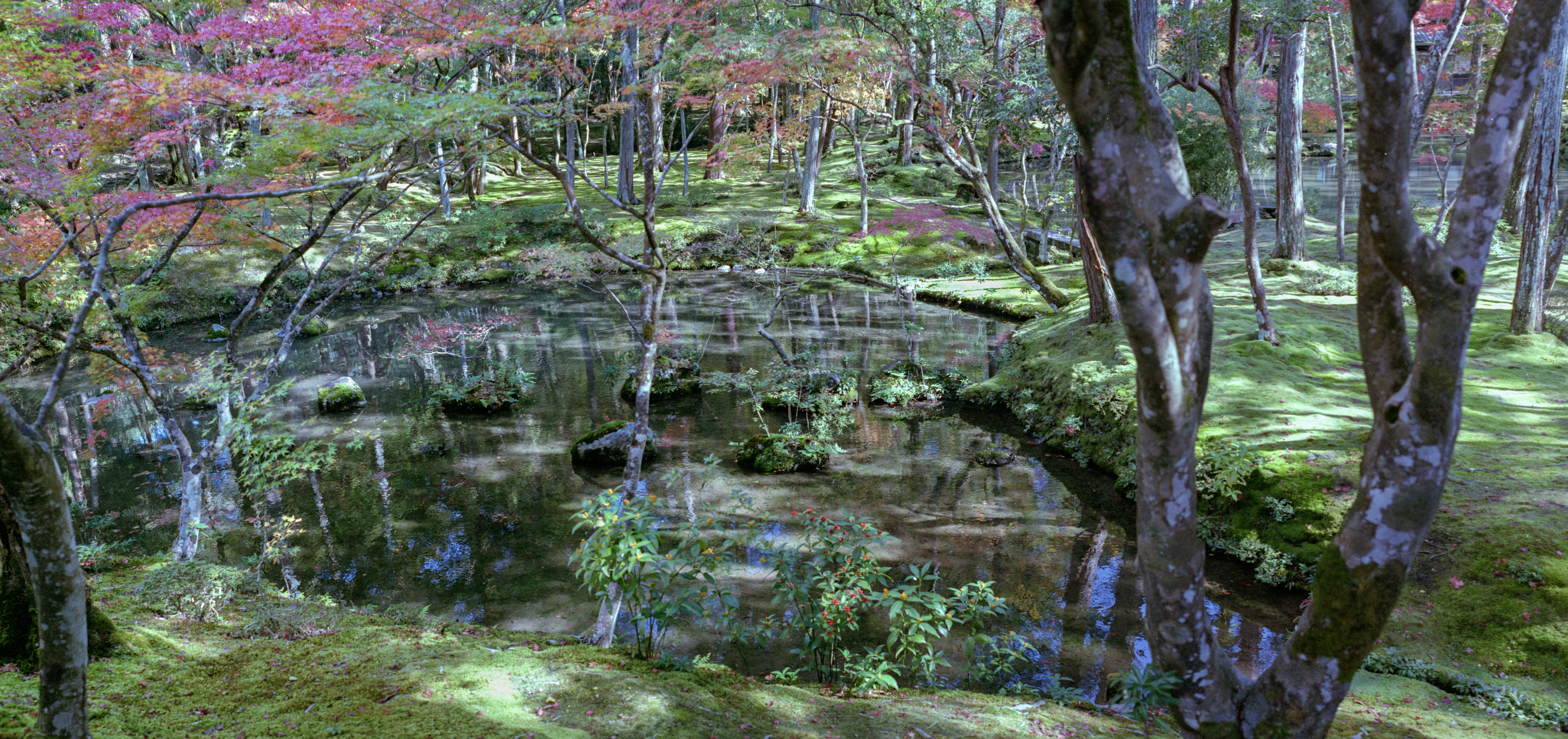 西芳寺 aka Saiho-ji aka Koke-dera moss temple film pano