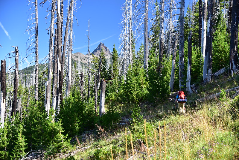 Santiam Lake Trail