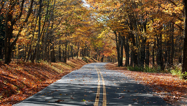 Some of the spectacular leaf laden park roads are all part of the journey at Grayson Highlands State Park, Va