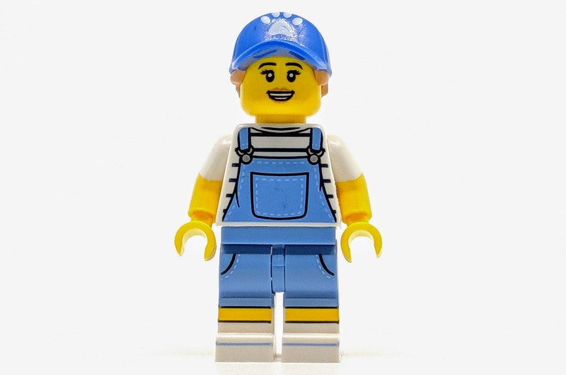 71025: LEGO Minifigures Series 19