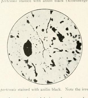 This image is taken from Page 68 of Archives of dermatology, 03