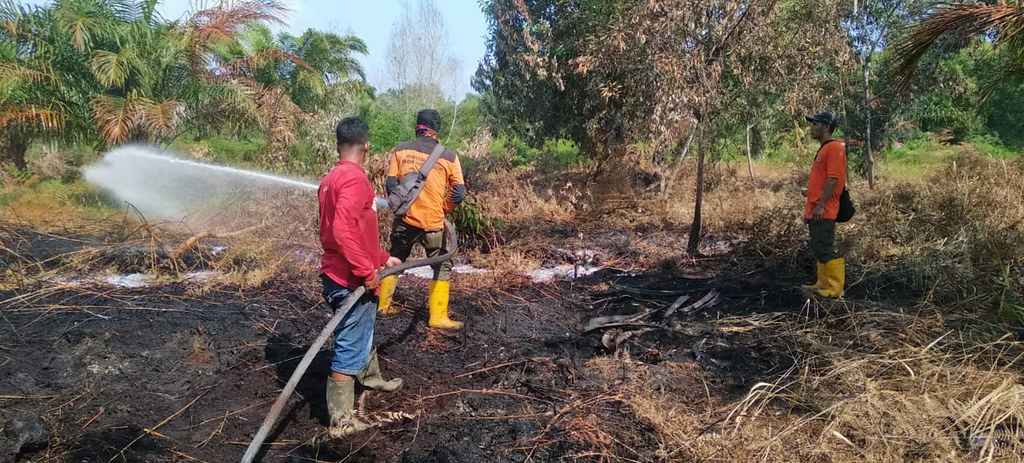 A hard battle. Fire Care Community in Pakning Asal village, Riau, Indonesia tries to put down peatland fire.