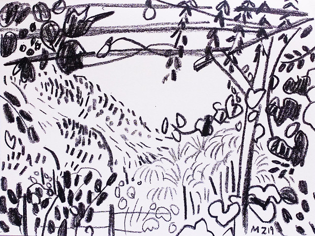Maria Zaikina, On the vineyard, china marker on paper, 25.5x19 cm, 2019