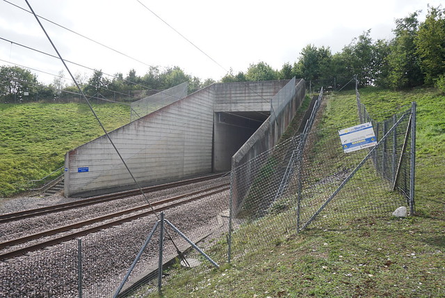 HS1_854_Tunnel (3)