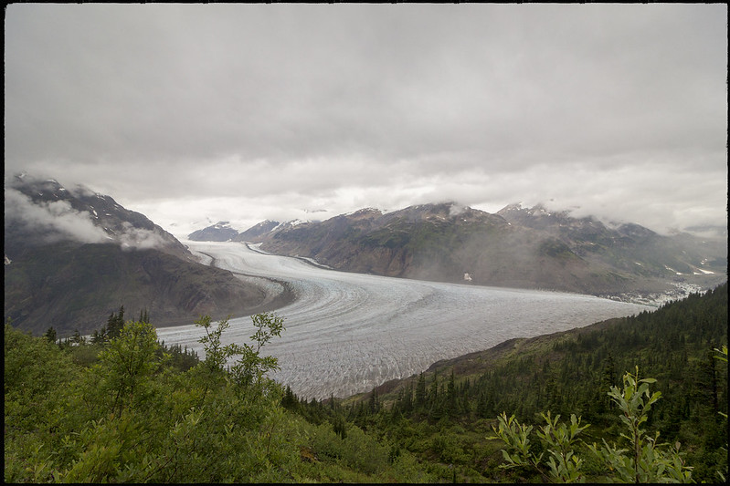 Road trip por el oeste de Canadá, pisando un par de veces Alaska - Blogs de Canada - 29/07/2019. Stewart. Fish Creek Wildlife Reservation Site. Salmon Glacier (11)