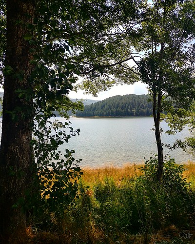 Lorica, Lago Arvo.  #nature #landscape #LagoArvo #photography #lake #landscapestyles #landscapephotography #mountains #adventure #trees #beauty #naturelovers #naturephotography #myedit #photooftheday #landscapes #natura #calabria #Sila #Lorica #meraviglia | by giusy.belcastro