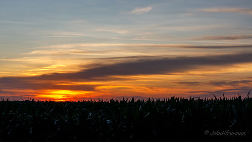 illinois oglecounty rochelle rural fields cornfields sunsets july2019 july 2019 canon24704l