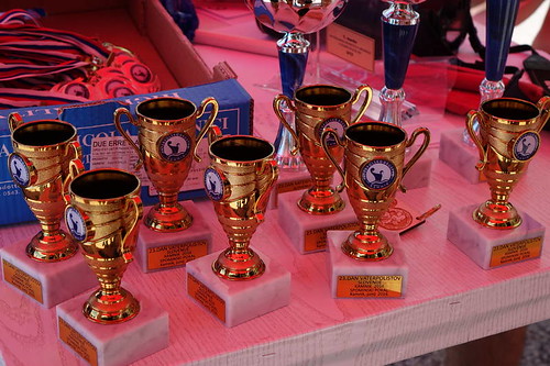 19-junij-2016-vaterpolsko-drustvo-kamnik-23-dan-vaterpolistov (1)