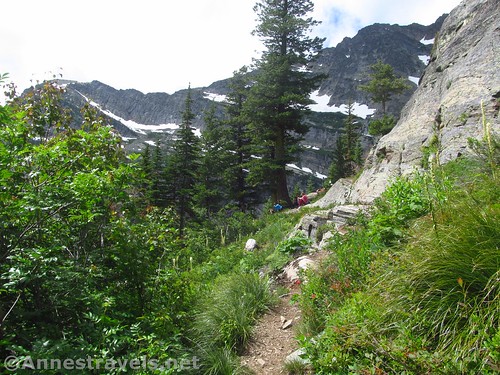 Social trail along the shore of Leigh Lake, Cabinet Mountains Wilderness, Montana