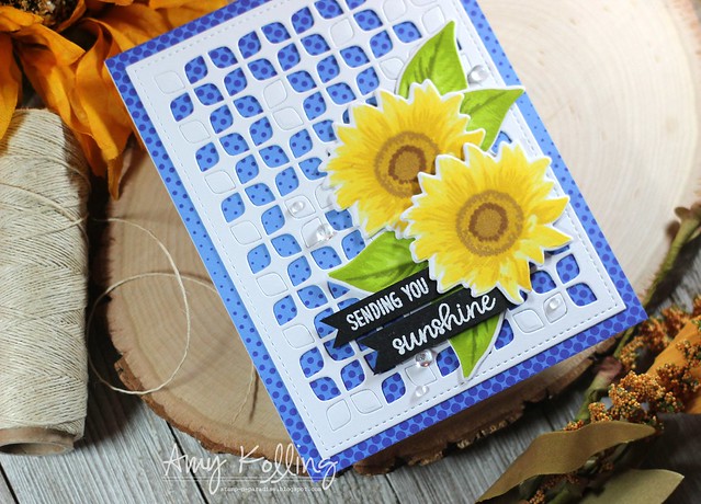 Sunny Studio Stamps: Sunflower Fields Everyday Cards by Amy Kolling
