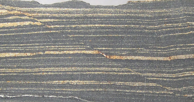 Normal fault in laminated mudrock (Emigsville Member, Kinzers Formation, Lower Cambrian; north of Lancaster, Pennsylvania, USA)