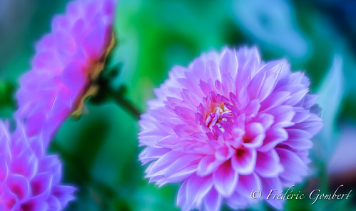 Different ways | by frederic.gombert