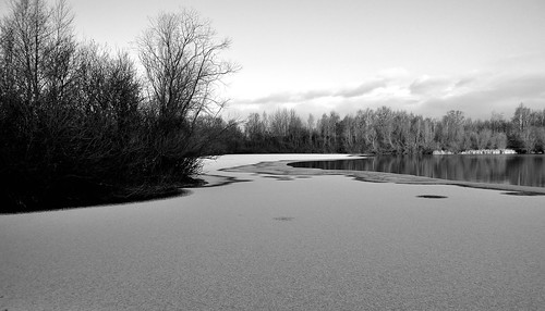 winter hollenstedt landscape landschaft bw sw einfarbig blackandwhite monochrome schwarzweiss see lake schnee snow