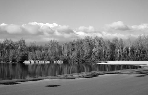 hollenstedt schwarzweiss monochrome blackandwhite blackwhite einfarbig sw bw landschaft landscape see lake winter schnee snow