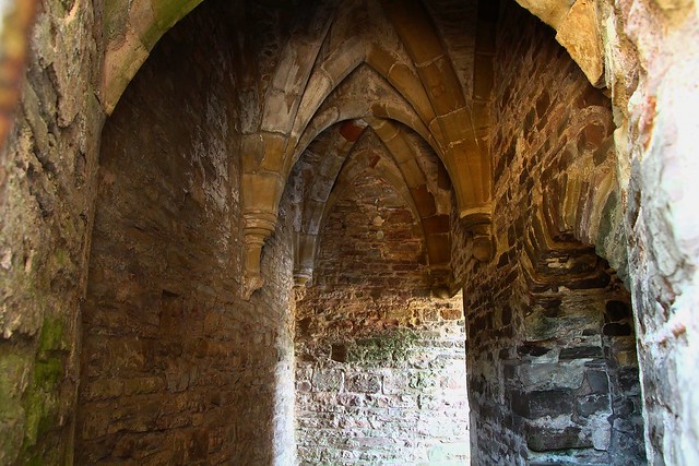 Medieval  masonry in Tintern Abbey