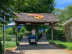 Photo 16 of 25 in the Day 2 - Kentucky Kingdom and Stricker's Grove gallery