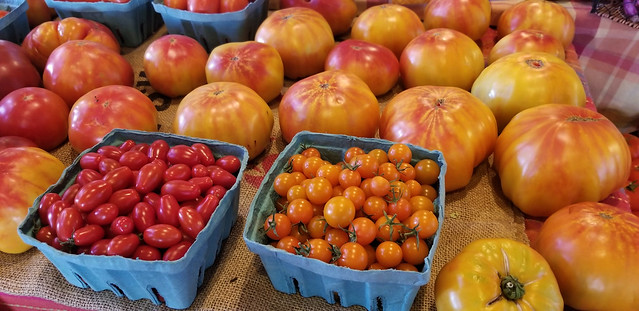 Local tomatoes