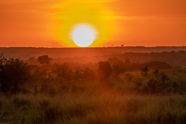 Sunrise on the Maasai Mara