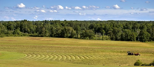 nikond50 edk7 2007 canada ontario muskoka landscape farm tractor machine implement crops field country countryside rural sky cloud vista summertime forest tree woodlot
