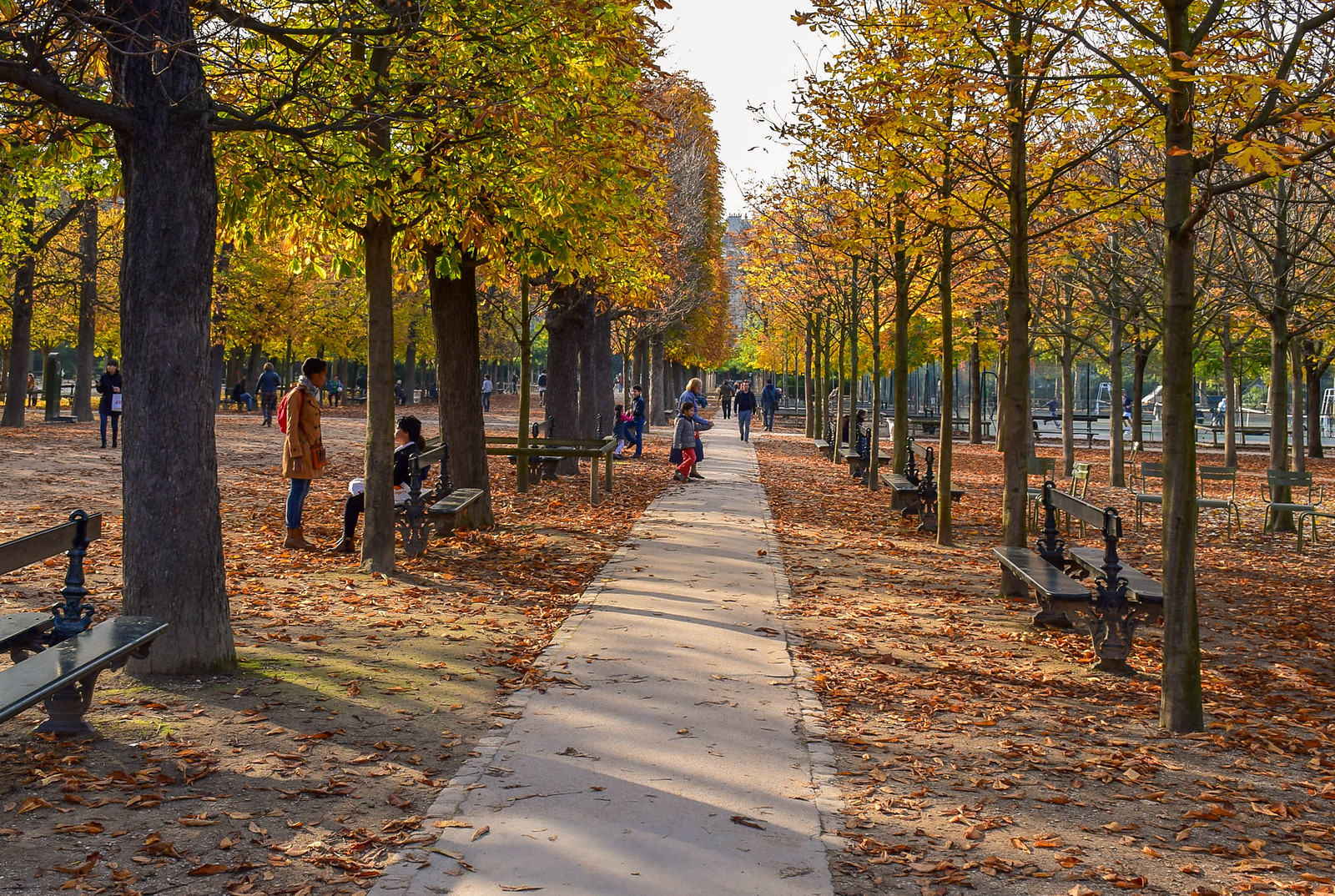 Fall photography tip: The patterns of a tree-lined sidewalk in Paris in the fall make the photo more interesting.