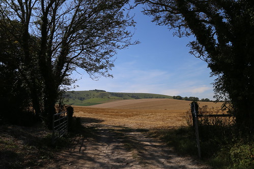 Field and South Downs - Firle 