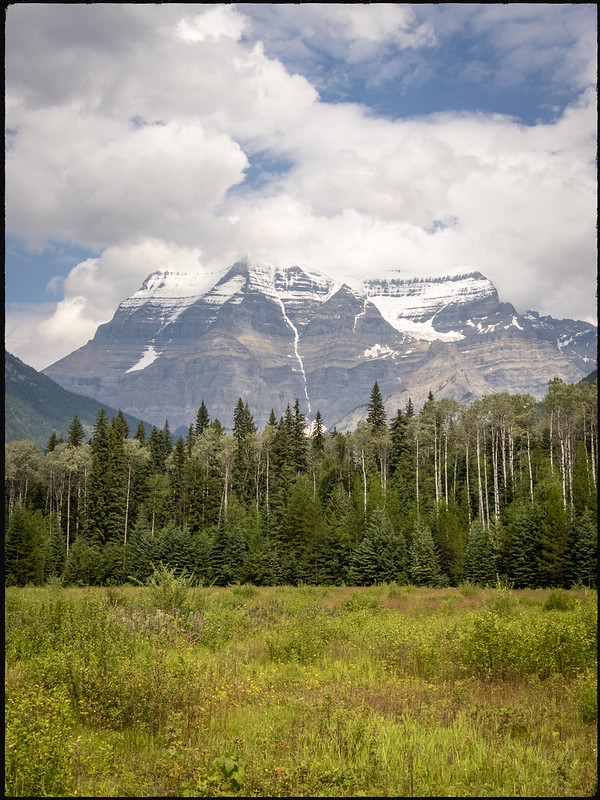 01/08/2019. De Prince George a Jasper. Ancient Forest. Zona de Maligne Lake - Road trip por el oeste de Canadá, pisando un par de veces Alaska (5)