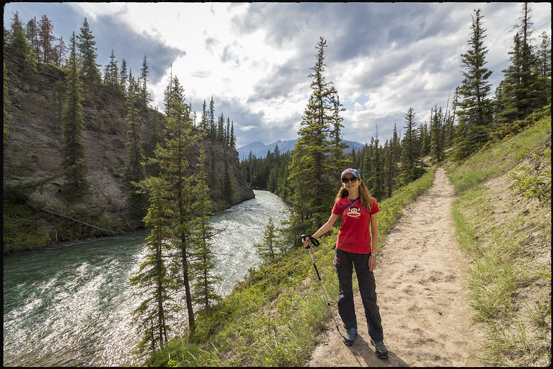 01/08/2019. De Prince George a Jasper. Ancient Forest. Zona de Maligne Lake - Road trip por el oeste de Canadá, pisando un par de veces Alaska (8)
