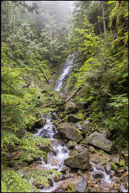 01/08/2019. De Prince George a Jasper. Ancient Forest. Zona de Maligne Lake - Road trip por el oeste de Canadá, pisando un par de veces Alaska (3)